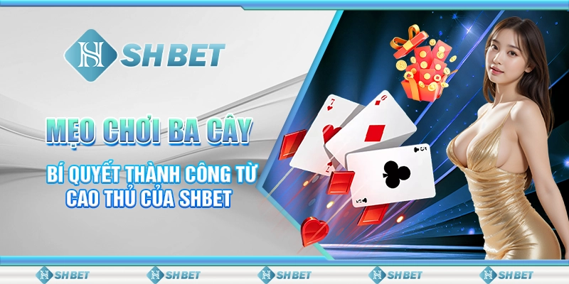 Shbet - Thiên Đường Giải Trí Cá Cược Trực Tuyến